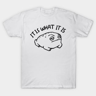 It is what it is desert rain frog T-Shirt